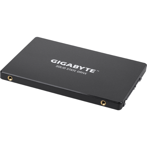 Твердотельный накопитель 256Gb SSD Gigabyte (GP-GSTFS31256GTND)