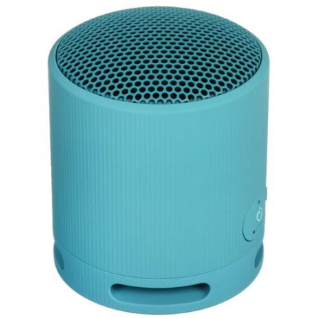 Портативная колонка Sony SRS-XB100, синий