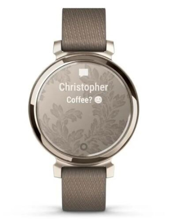 Смарт-часы Garmin Lily 2 Classic