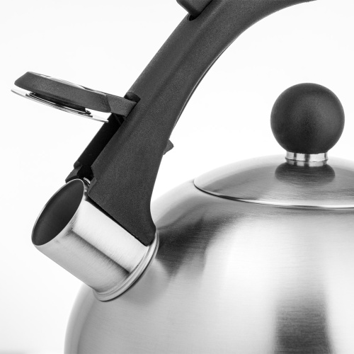 Чайник LARA LR00-05 матовый 2.5л