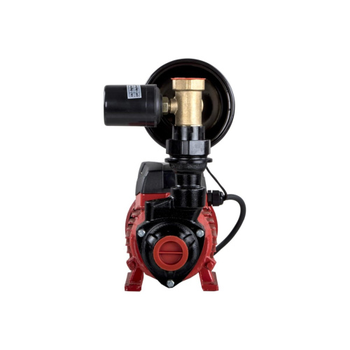 Насосная станция QUATTRO ELEMENTI Automatico 401 Ci (918-597)