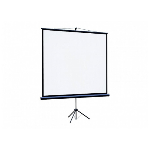 Экран на штативе Lumien Eco View LEV-100107 Matte White