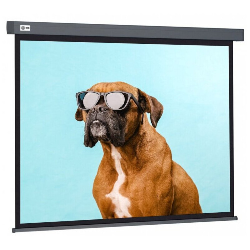 Экран Cactus CS-PSW-168X299-SG Wallscreen настенно-потолочный рулонный серый