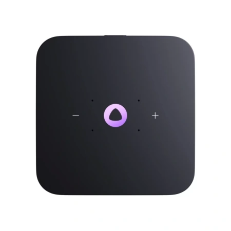 Умная колонка Яндекс Станция Миди YNDX-00054PNK Алиса малиновый