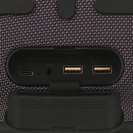 Портативная колонка Урал Гагарин ГР-007, серый