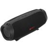 Портативная колонка Урал ТТ М-4+, черный