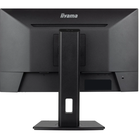 Монитор Iiyama ProLite XUB2493HSU-B7 черный