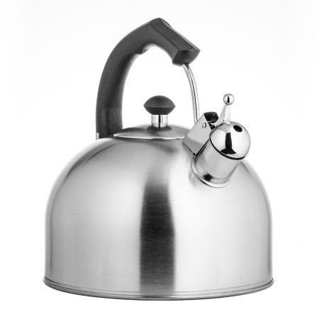 Чайник LARA LR00-06 матовый 4л