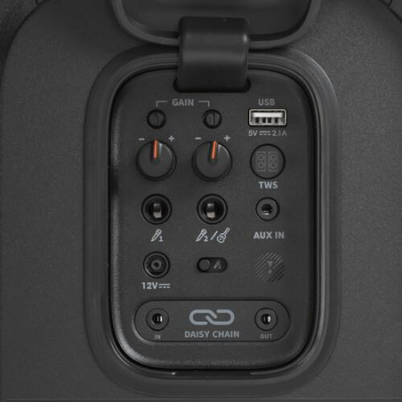 Портативная аудиосистема JBL PARTYBOX 310, черный