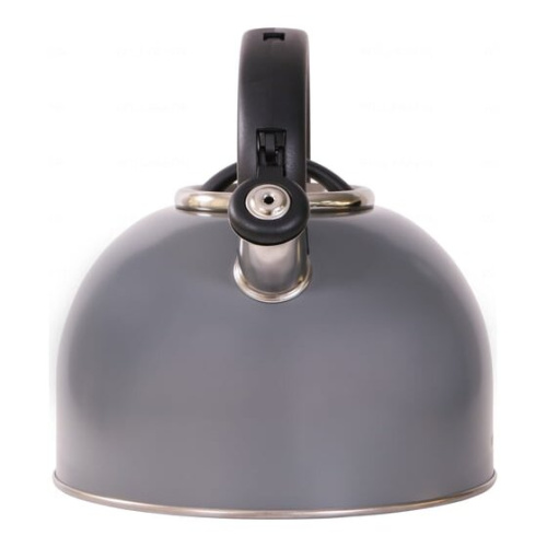 Чайник WILLMARK WTK-4810SS (2001461) 4л Темно-серый