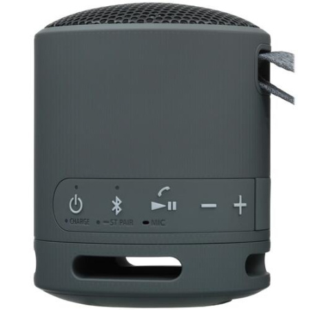 Портативная колонка Sony SRS-XB100, черный
