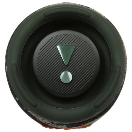 Портативная колонка JBL Charge 5, камуфляжный