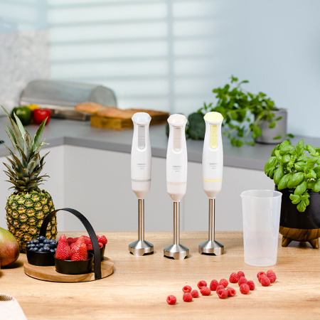 Блендер ZELMER ZHB4561S White