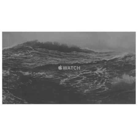 Смарт-часы Apple Watch Ultra 2 49mm