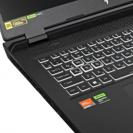 17.3" Ноутбук Acer Nitro 17 AN17-41-R4RU черный