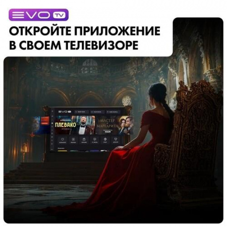 32" (80 см) LED-телевизор EVO TV 32 черный