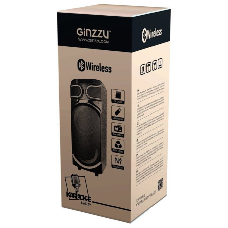 Акустическая система GINZZU Midi GM-203