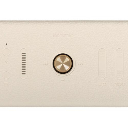 Портативная колонка Marshall Middleton, бежевый