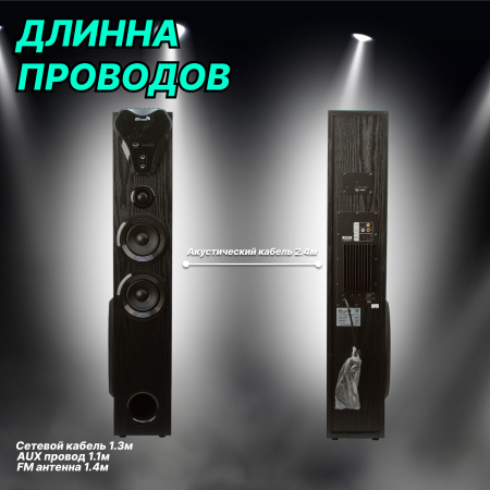 Портативная акустика ELTRONIC 20-80 Home Sound черный