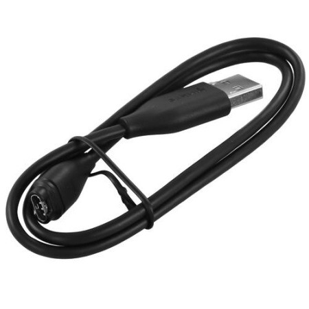 Спортивные часы Garmin Forerunner 255