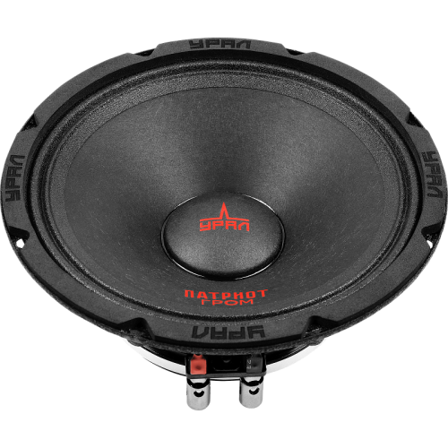 Колонки автомобильные Ural АС-ПТ165.2 Гром