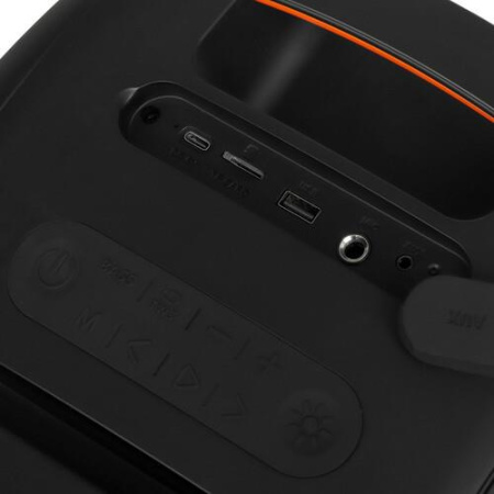 Портативная аудиосистема Урал Молния 700, черный