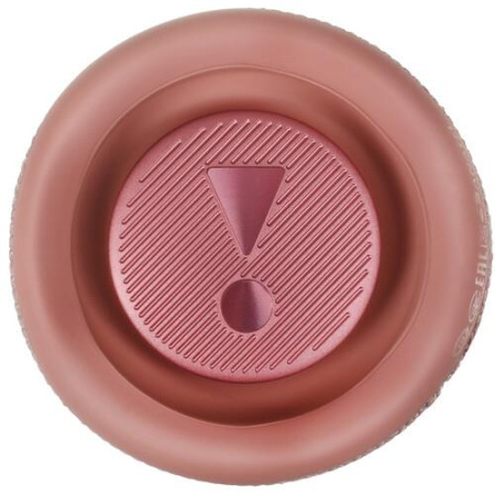 Портативная колонка JBL Flip 6, розовый