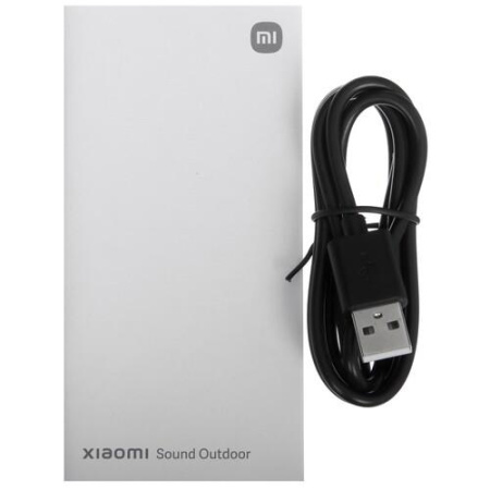 Портативная колонка Xiaomi Sound Outdoor, черный