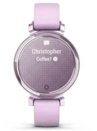 Смарт-часы Garmin Lily 2