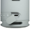 Портативная колонка Sony SRS-XB100, серый