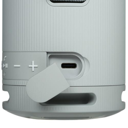 Портативная колонка Sony SRS-XB100, серый