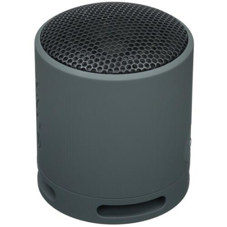 Портативная колонка Sony SRS-XB100, черный