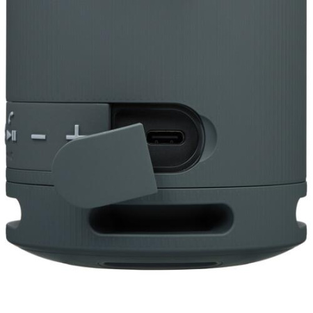 Портативная колонка Sony SRS-XB100, черный