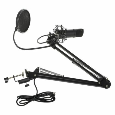 Микрофон Ritmix RDM-180 черный