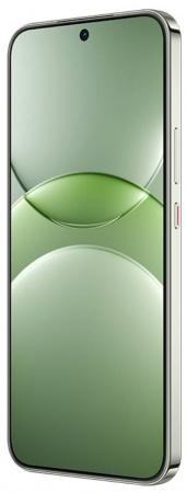 Смартфон Huawei Nova 13 12/256 Гб Lte Дымчатый Зеленый