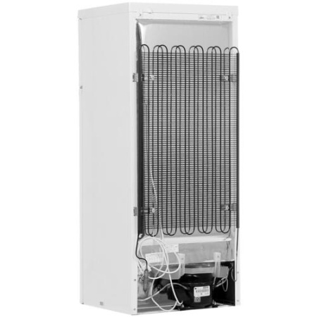 Холодильник Don R-216 B, белый