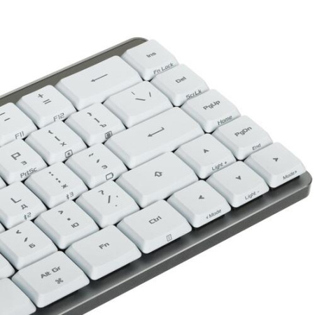 Клавиатура проводная + беспроводная ASUS ROG Falchion RX LP