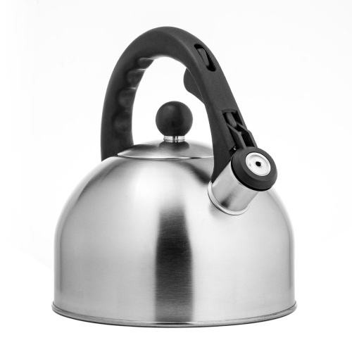 Чайник LARA LR00-05 матовый 2.5л