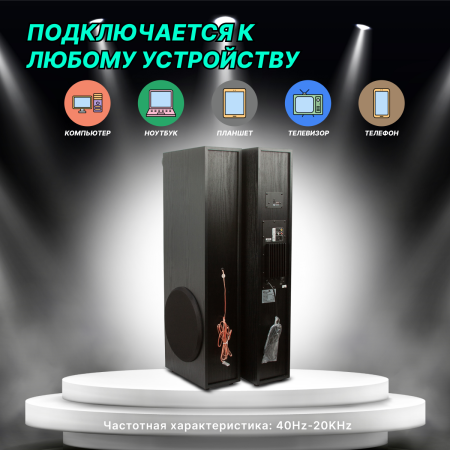 Портативная акустика ELTRONIC 20-80 Home Sound черный