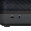 Портативная колонка Bang & Olufsen Beolit 20, черный